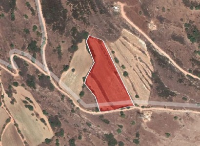 Giolou, Paphos Agricultural Field For Sale | WW28191