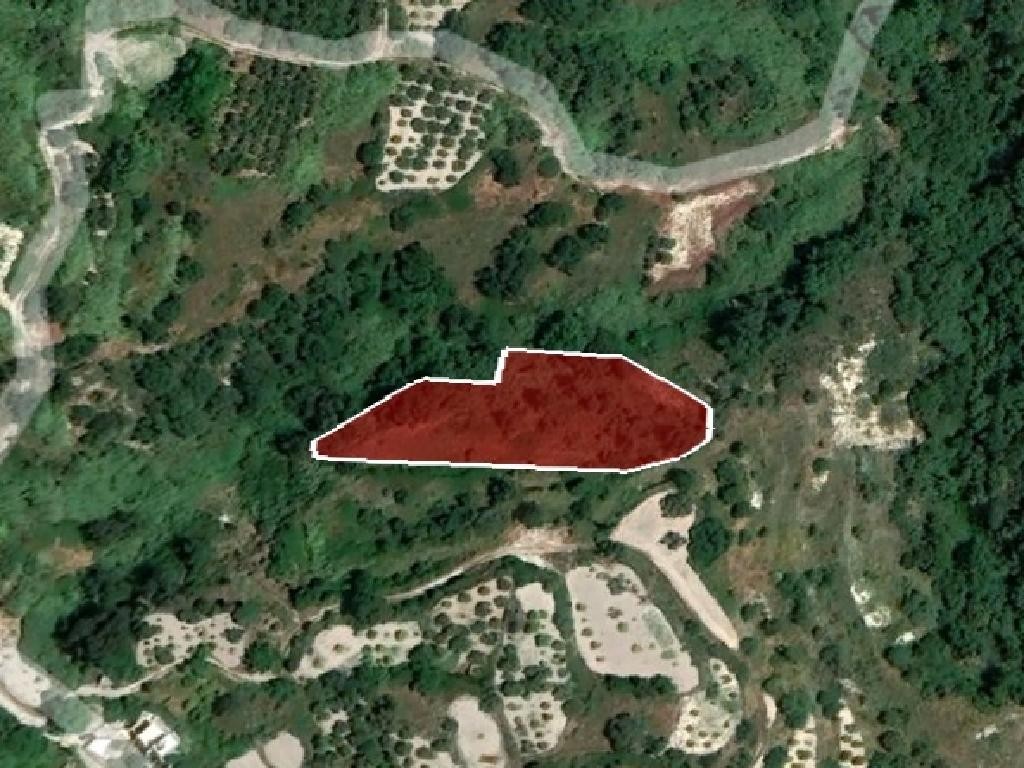 Field - Theletra, Paphos