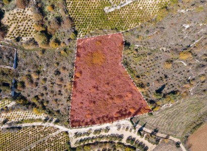 Kathikas, Paphos Residential Field For Sale | WW28205