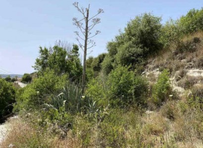 Simou, Paphos Agricultural Field For Sale | WW28206