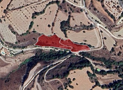 Simou, Paphos Agricultural Field For Sale | WW28206