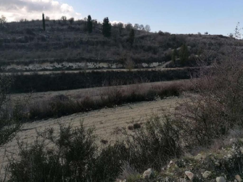 Field - Kathikas, Paphos