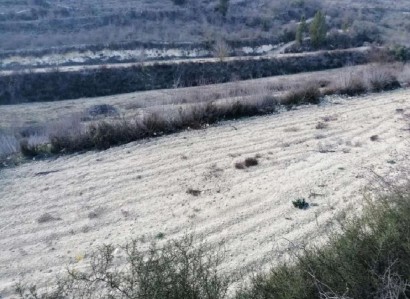 Kathikas, Paphos Agricultural Field For Sale | WW28208