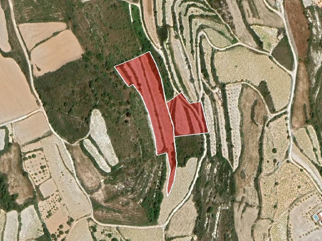Field - Kathikas, Paphos