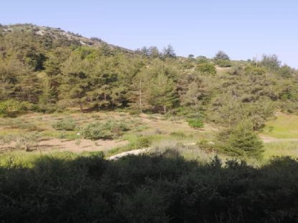 Panagia, Paphos Industrial Field For Sale | WW28220