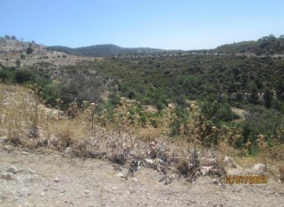 Mousere, Paphos Agricultural Field For Sale | WW28223