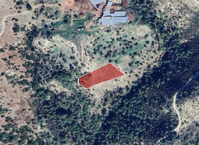 Mousere, Paphos Agricultural Field For Sale | WW28223