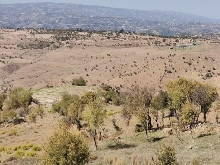 Faleia, Paphos Agricultural Field For Sale | WW26328