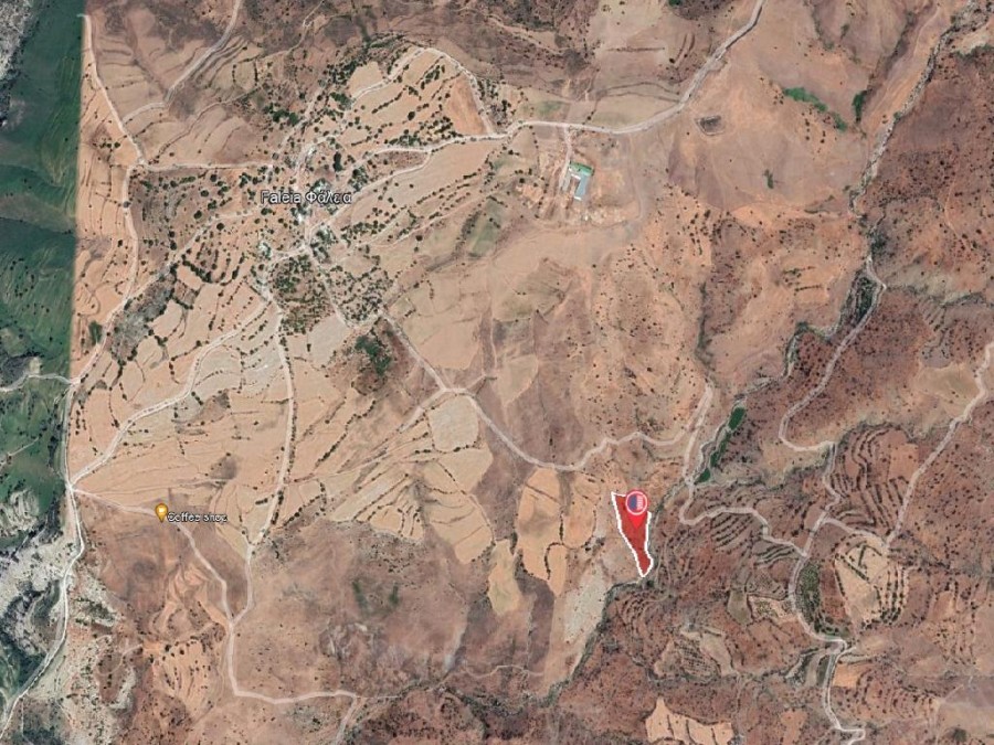 Field - Falia, Paphos