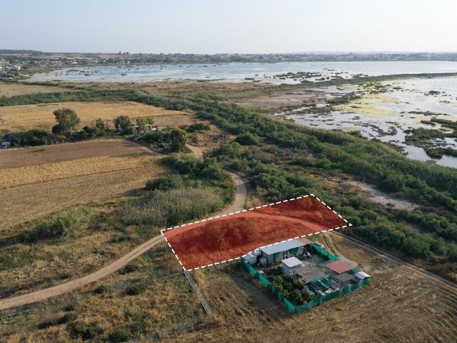Field - Paralimni, Famagusta
