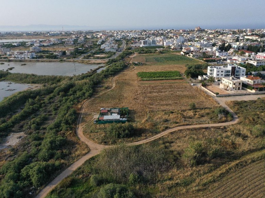 Field - Paralimni, Famagusta