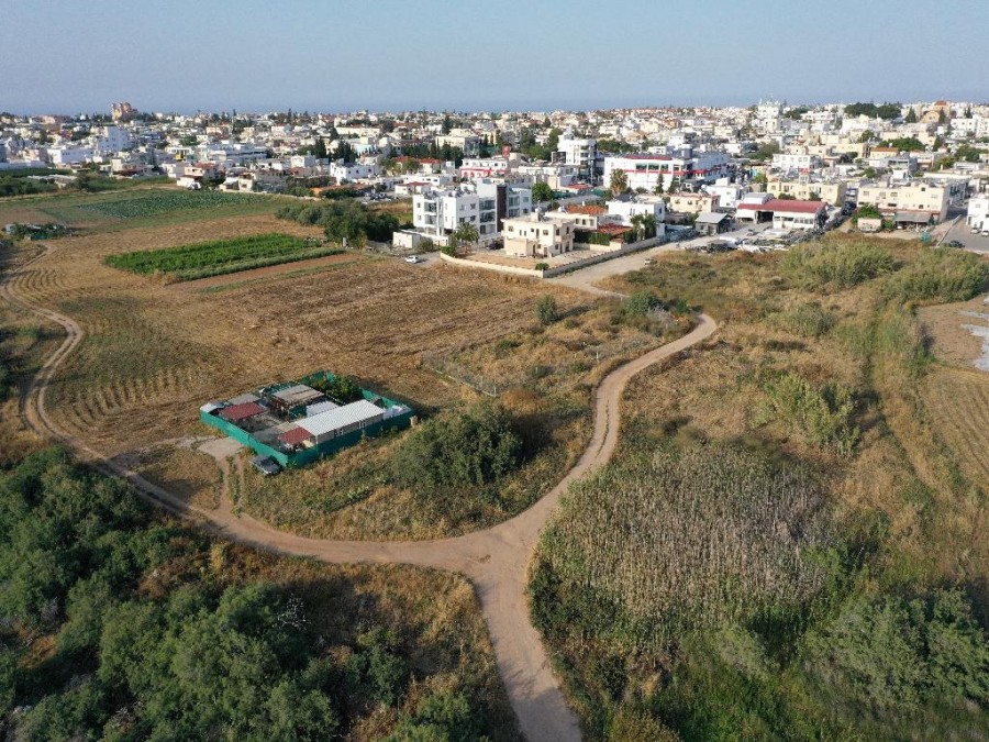 Field - Paralimni, Famagusta