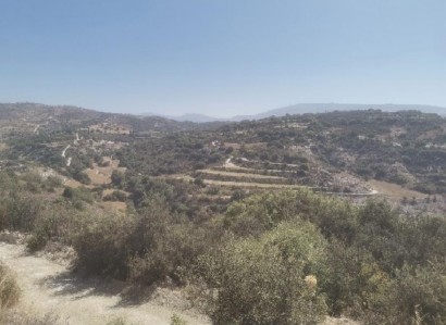 Polemi, Paphos Agricultural Field For Sale | WW28306