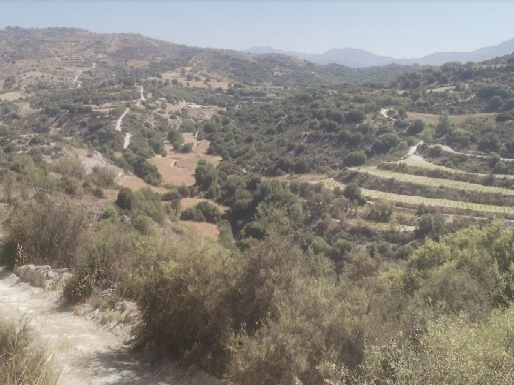 Field - Polemi, Paphos