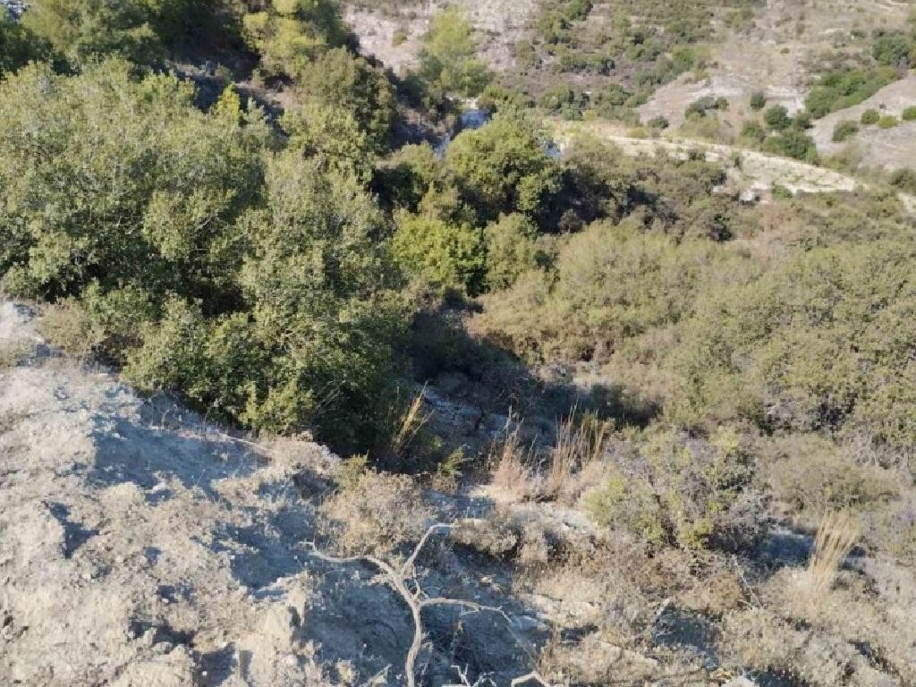 Field - Polemi, Paphos