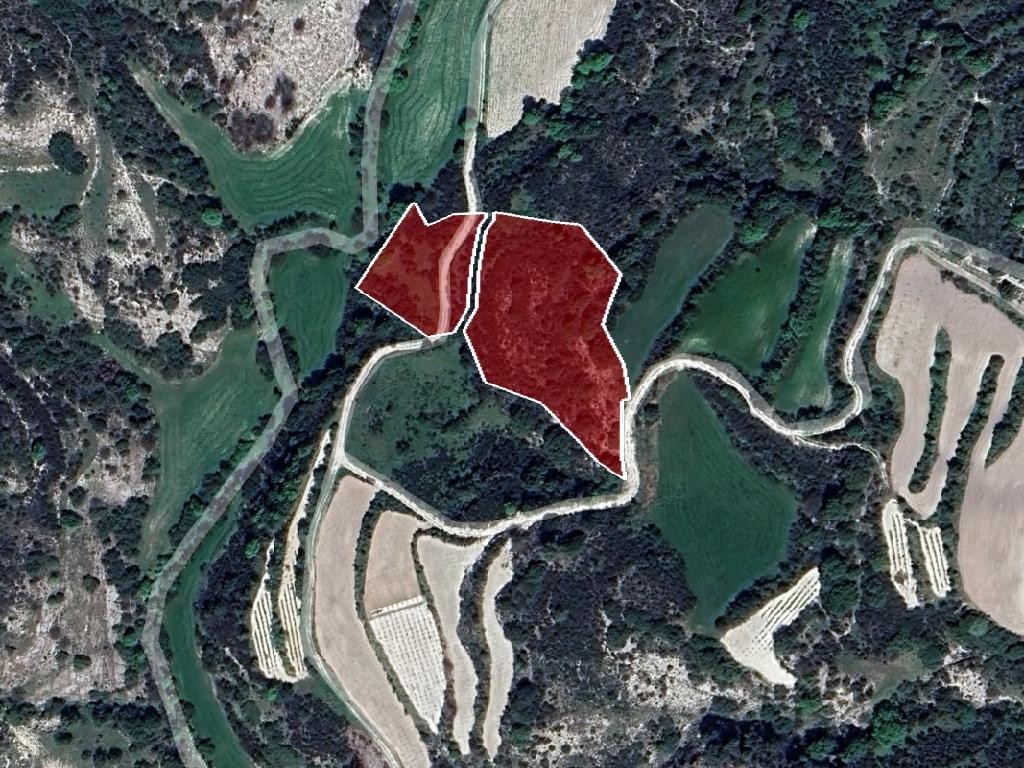 Field - Polemi, Paphos