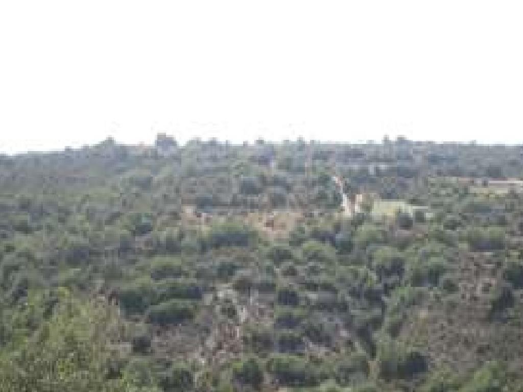 Polemi, Paphos Agricultural Field For Sale | WW28307