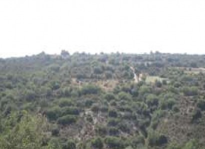 Polemi, Paphos Agricultural Field For Sale | WW28307