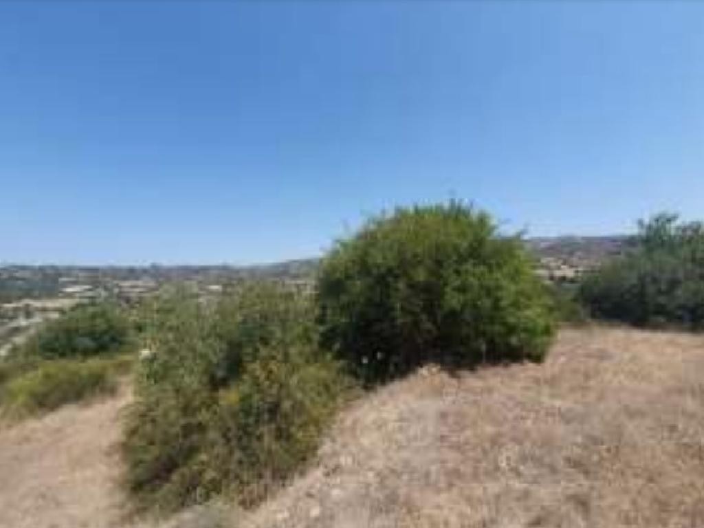 Field - Polemi, Paphos