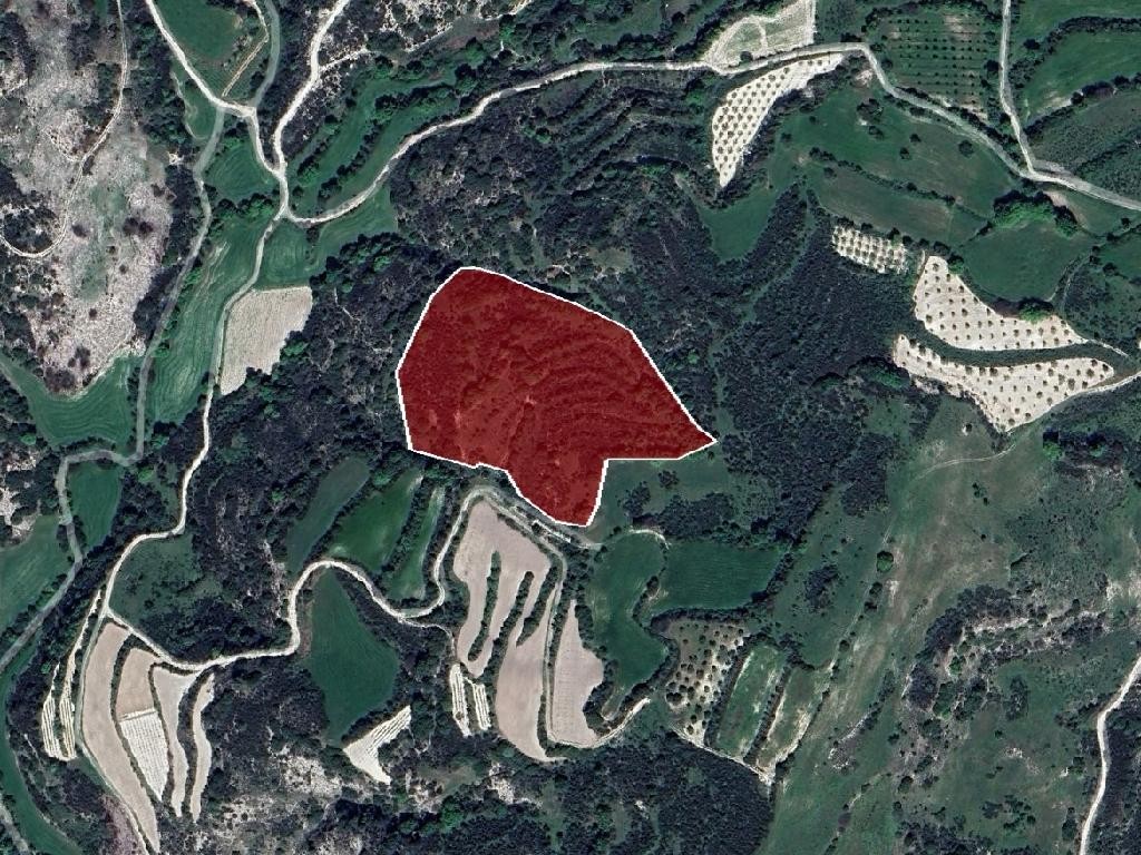 Field - Polemi, Paphos