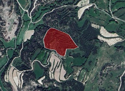 Polemi, Paphos Agricultural Field For Sale | WW28307