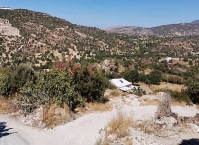 Steni, Paphos Agricultural Field For Sale | WW28316