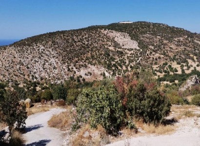 Steni, Paphos Agricultural Field For Sale | WW28316