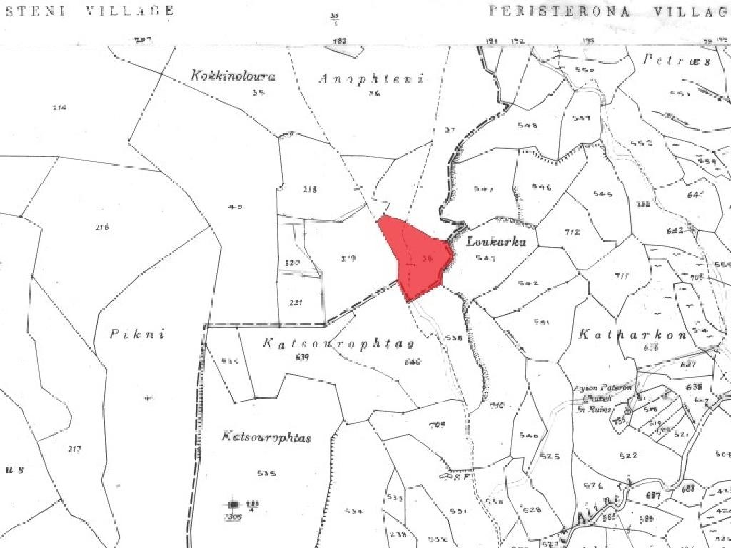 Field - Steni, Paphos