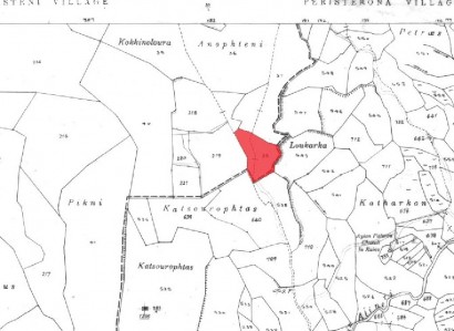 Steni, Paphos Agricultural Field For Sale | WW28316