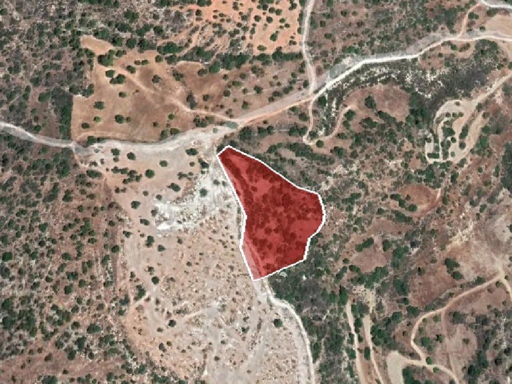 Field - Steni, Paphos