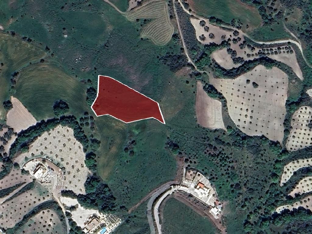 Field - Simou, Paphos