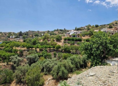 Dierona, Limassol Residential Field For Sale | WW28352