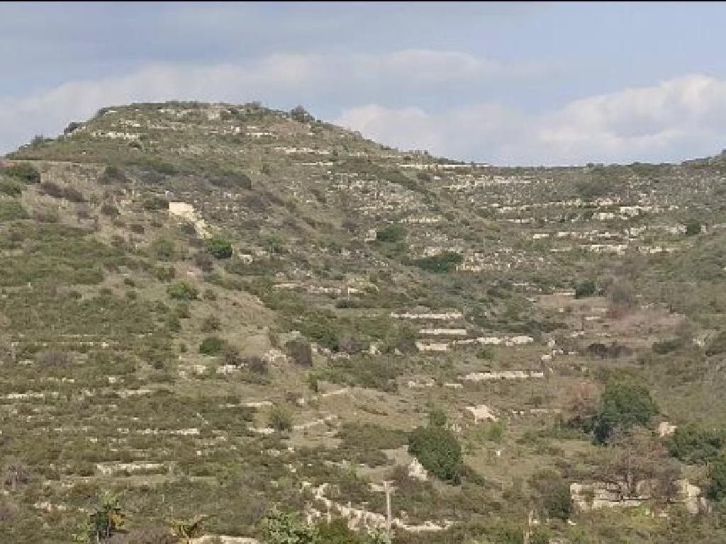 Pachna, Limassol Agricultural Field For Sale | WW28353