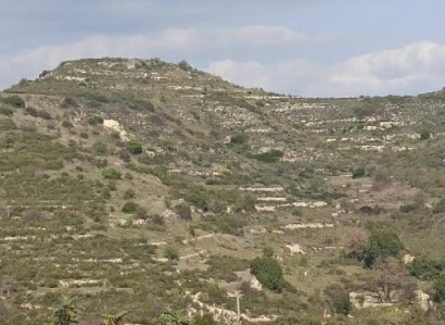 Pachna, Limassol Agricultural Field For Sale | WW28353