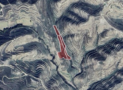 Pachna, Limassol Agricultural Field For Sale | WW28353