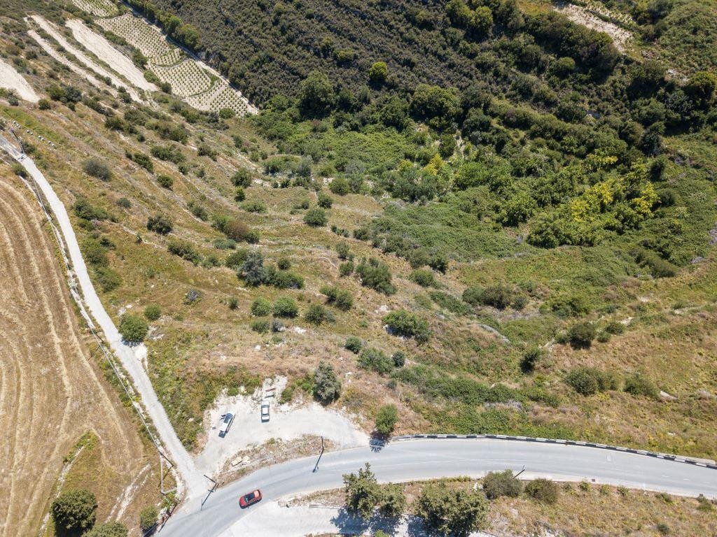 Field - Pachna, Limassol