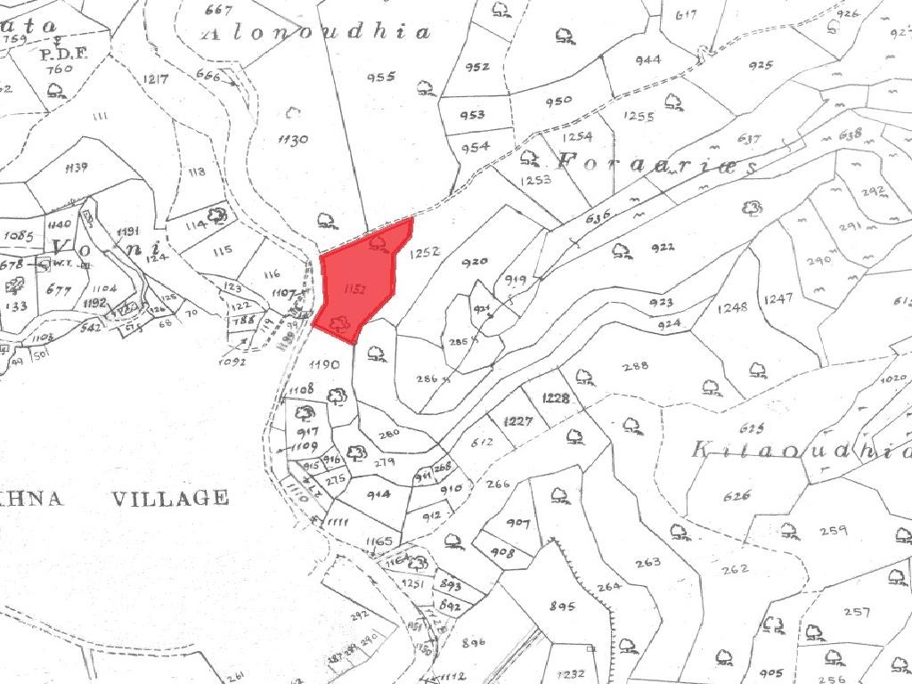 Field - Pachna, Limassol