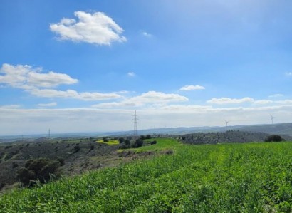Agia Anna, Larnaca Agricultural Field For Sale | WW28359