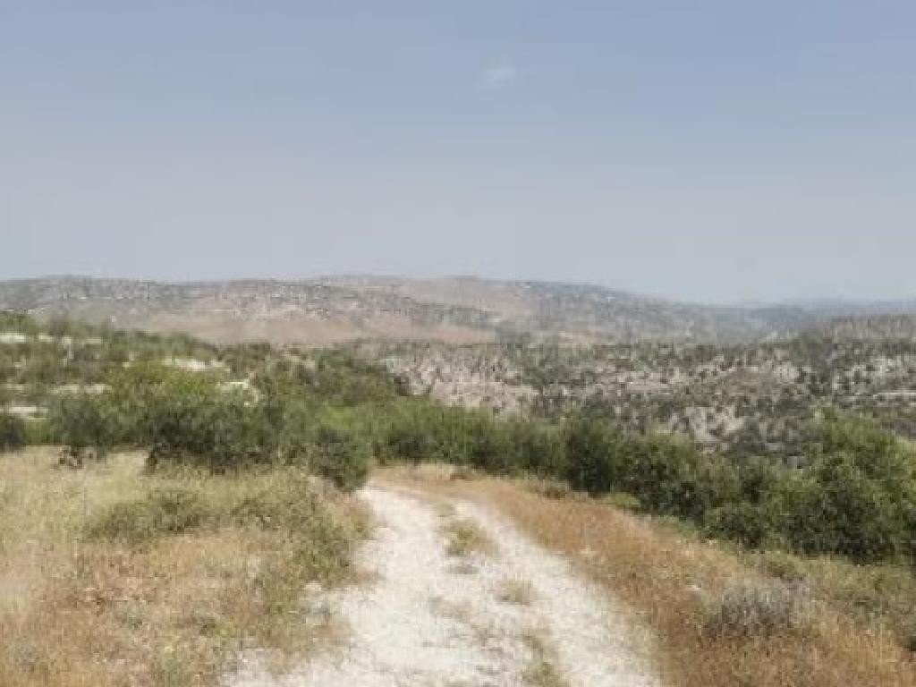 Choulou, Paphos Agricultural Field For Sale | WW28369