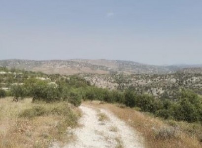Choulou, Paphos Agricultural Field For Sale | WW28369