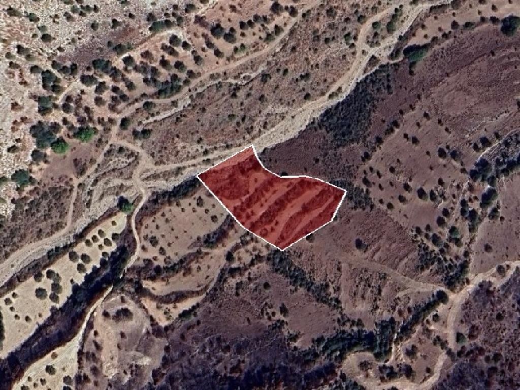 Field - Choulou, Paphos