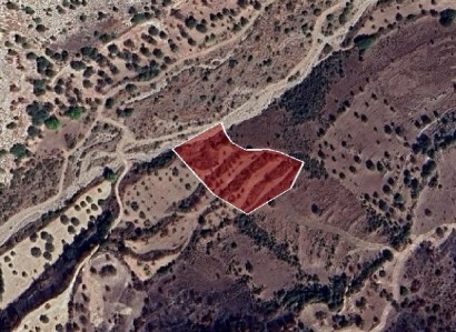 Choulou, Paphos Agricultural Field For Sale | WW28369