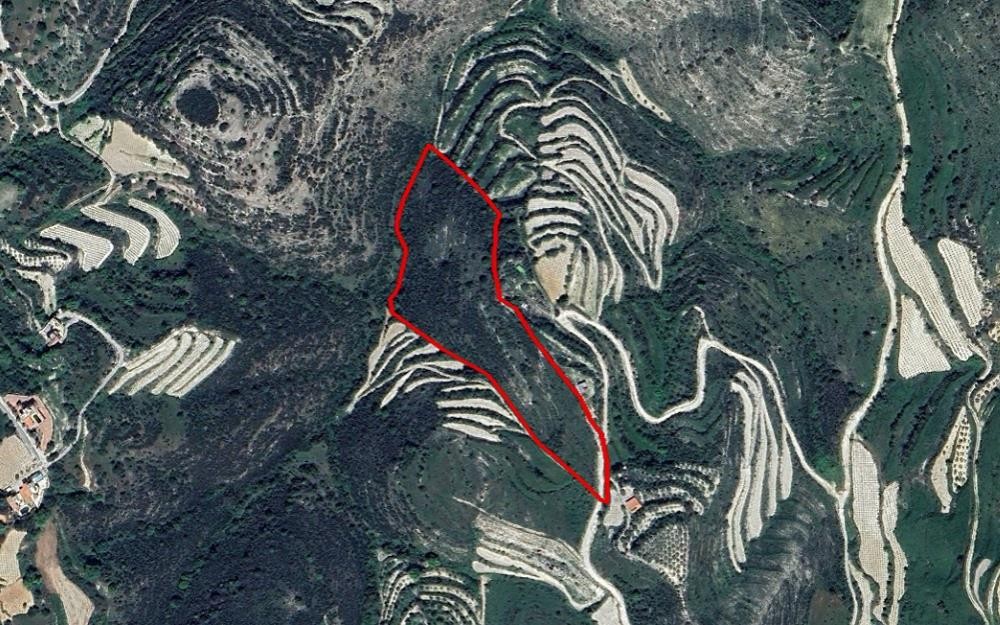 Koili, Paphos Agricultural Field For Sale | WW28381