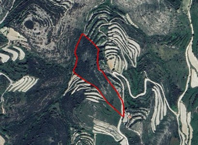 Koili, Paphos Agricultural Field For Sale | WW28381