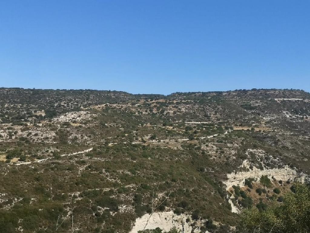Dora, Limassol Agricultural Field For Sale | WW28383
