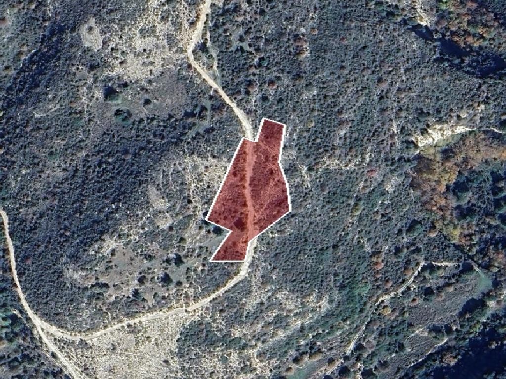 Field - Dora, Limassol