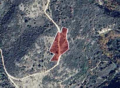 Dora, Limassol Agricultural Field For Sale | WW28383