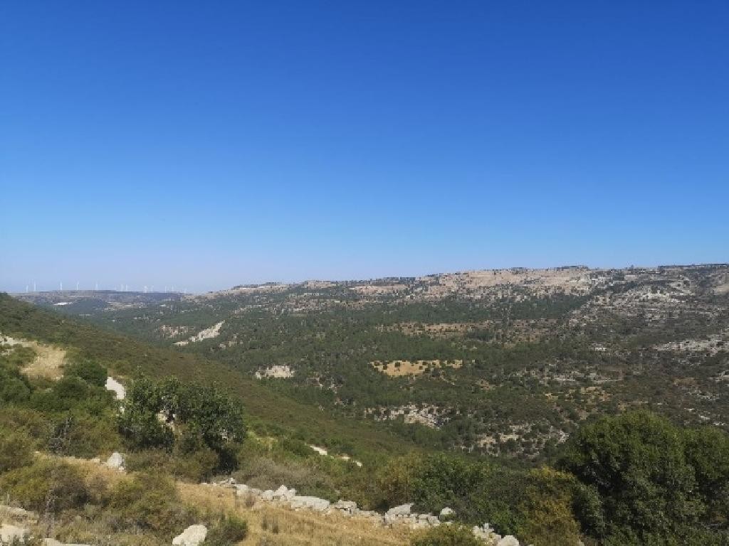 Dora, Limassol Agricultural Field For Sale | WW28386