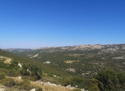 Dora, Limassol Agricultural Field For Sale | WW28386
