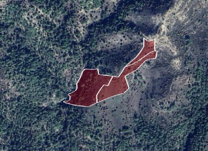 Dora, Limassol Agricultural Field For Sale | WW28386